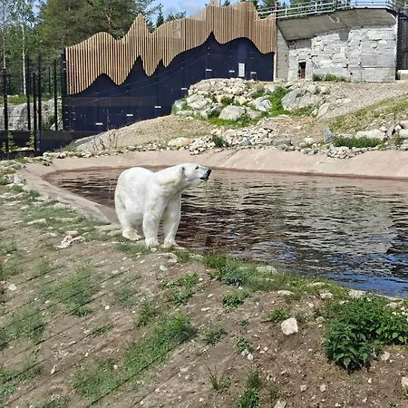 Koskela Сasa de vacaciones