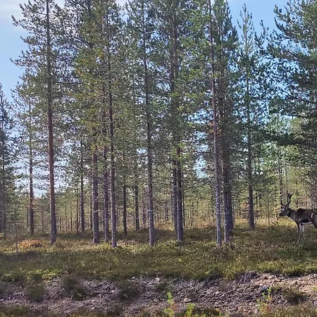 Koskela * Ranua